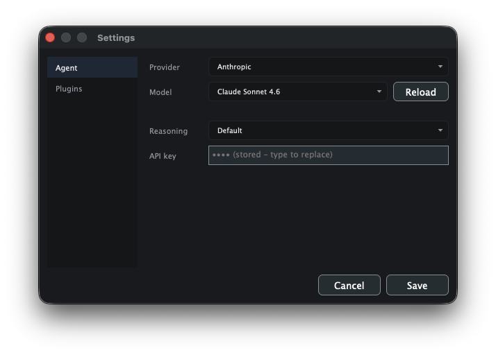 The Agent section of Settings showing the Provider, Model, Reasoning, and API key fields.